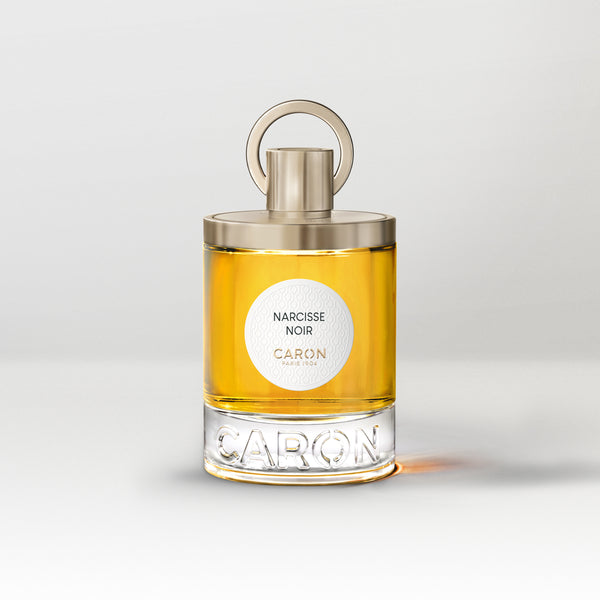 Narcisse Noir